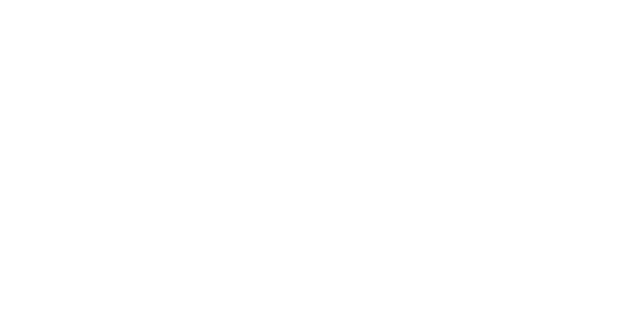 Logo Cámara Fija
